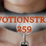 233709cf 0ce7 4e20 a9fd f569b6f506d9 2