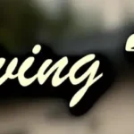 536e4646 ae19 488a 8bd7 43fd5dec8cda