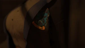 Ravenclaw’s Chosen APK 4